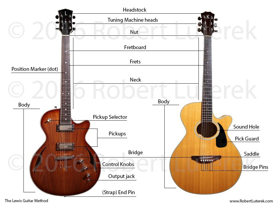 Parts of the guitar chart